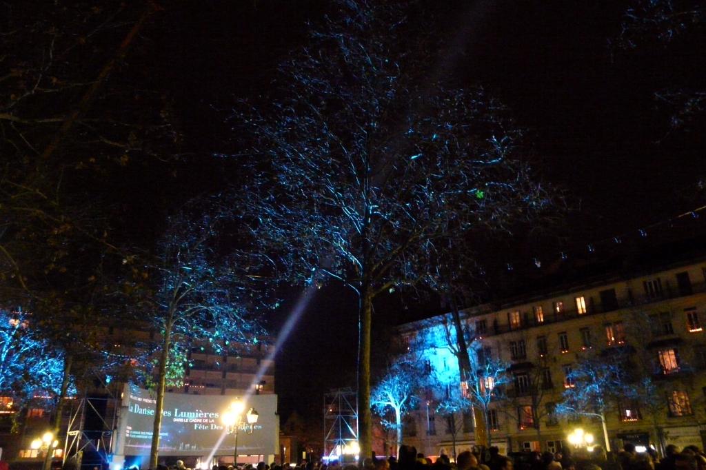 P1050964.jpg