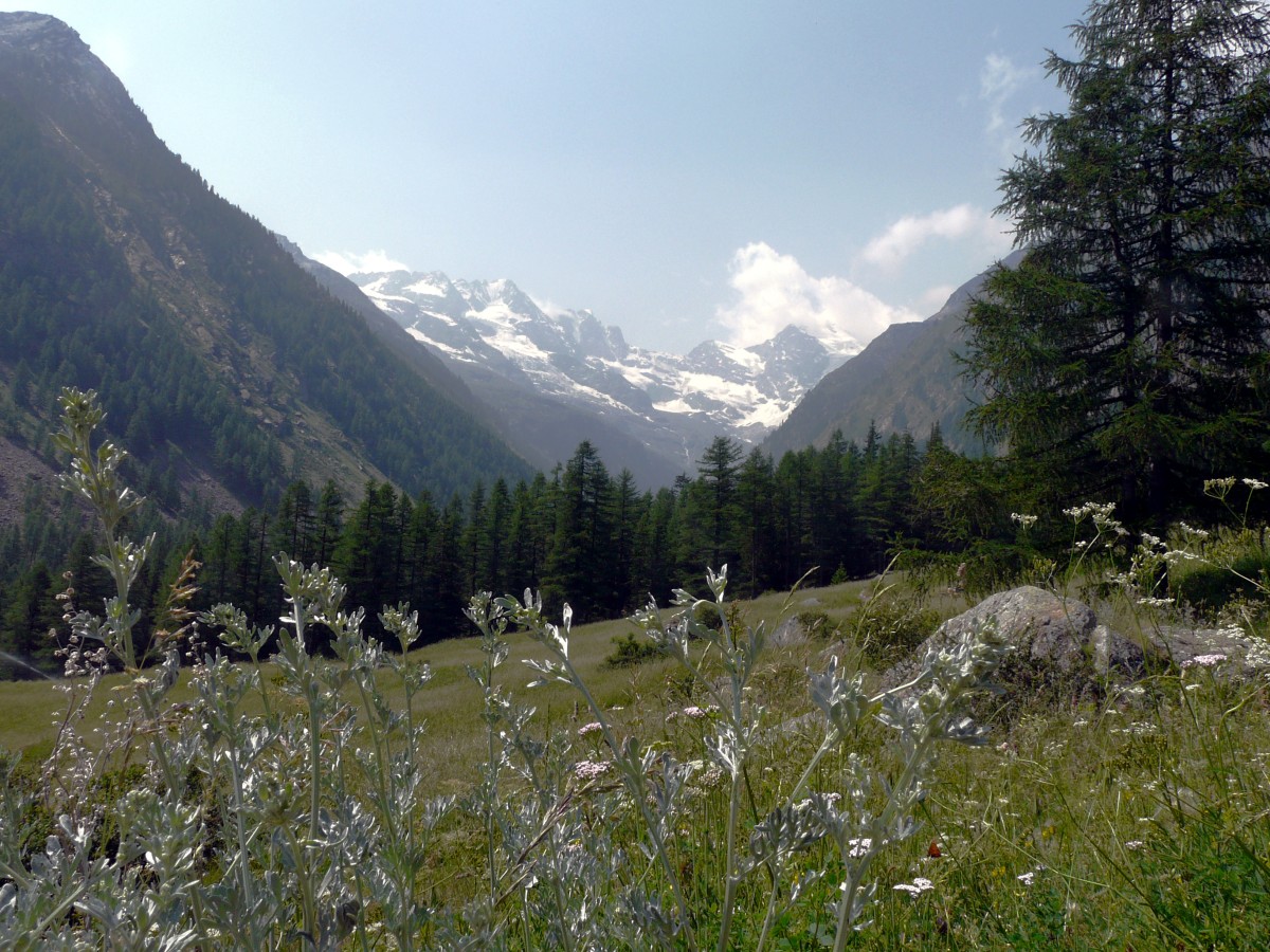 Paradis 2012-06-30_11-32-g.jpg