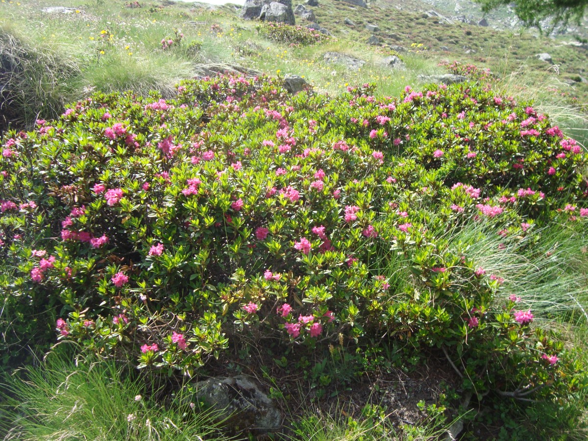 Paradis 2012-06-30_13-48-n.jpg