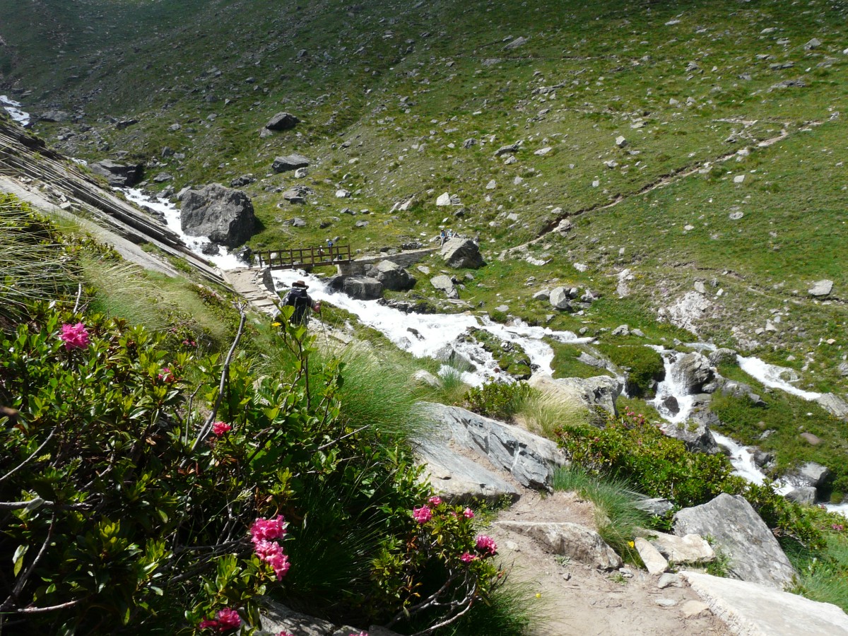 Paradis 2012-06-30_14-01-g.jpg