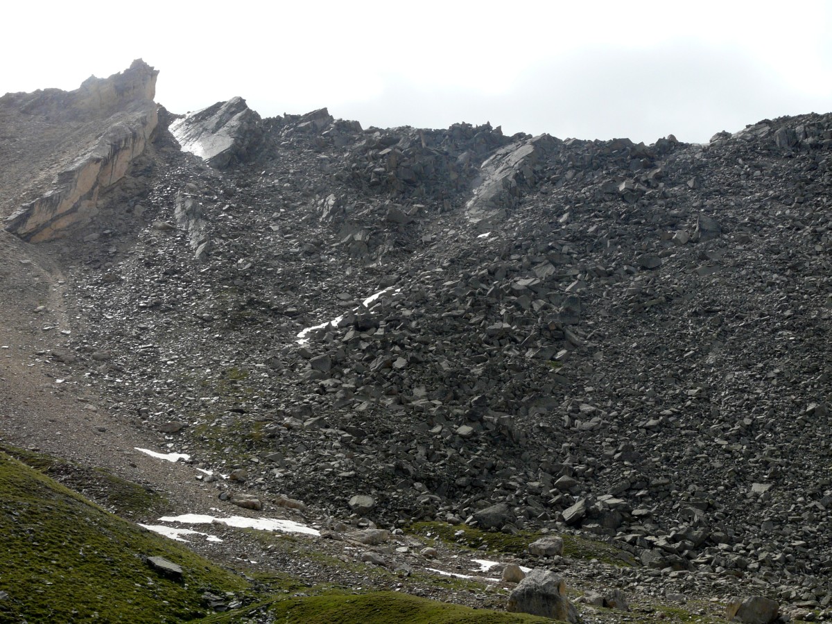 Paradis 2012-07-01_10-57-g.jpg