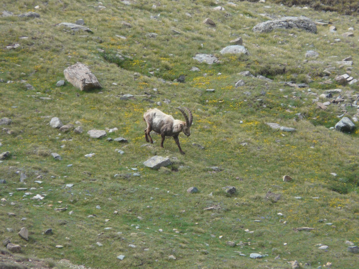 Paradis 2012-07-01_11-00-g.jpg