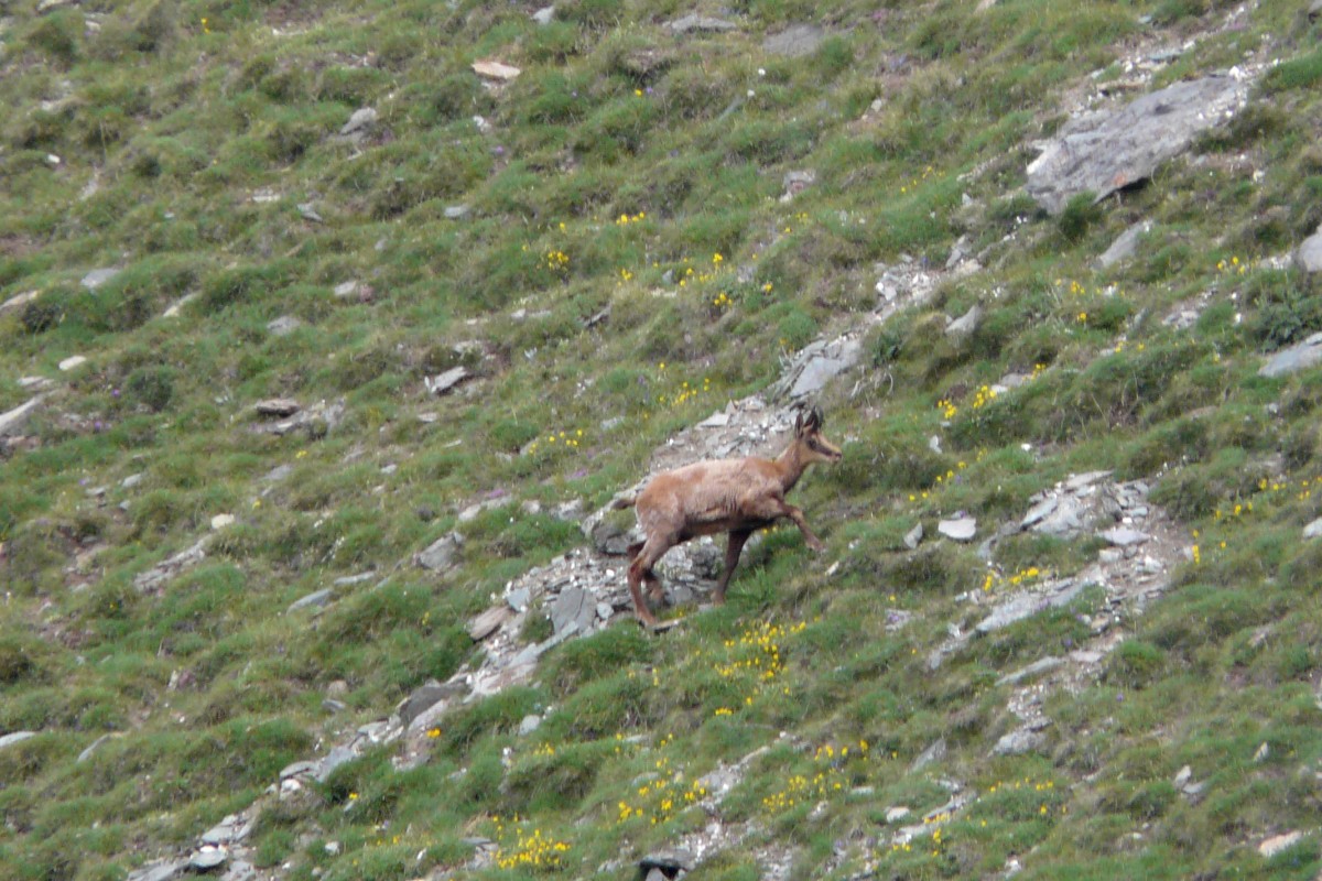 Paradis 2012-07-01_11-09-g.jpg