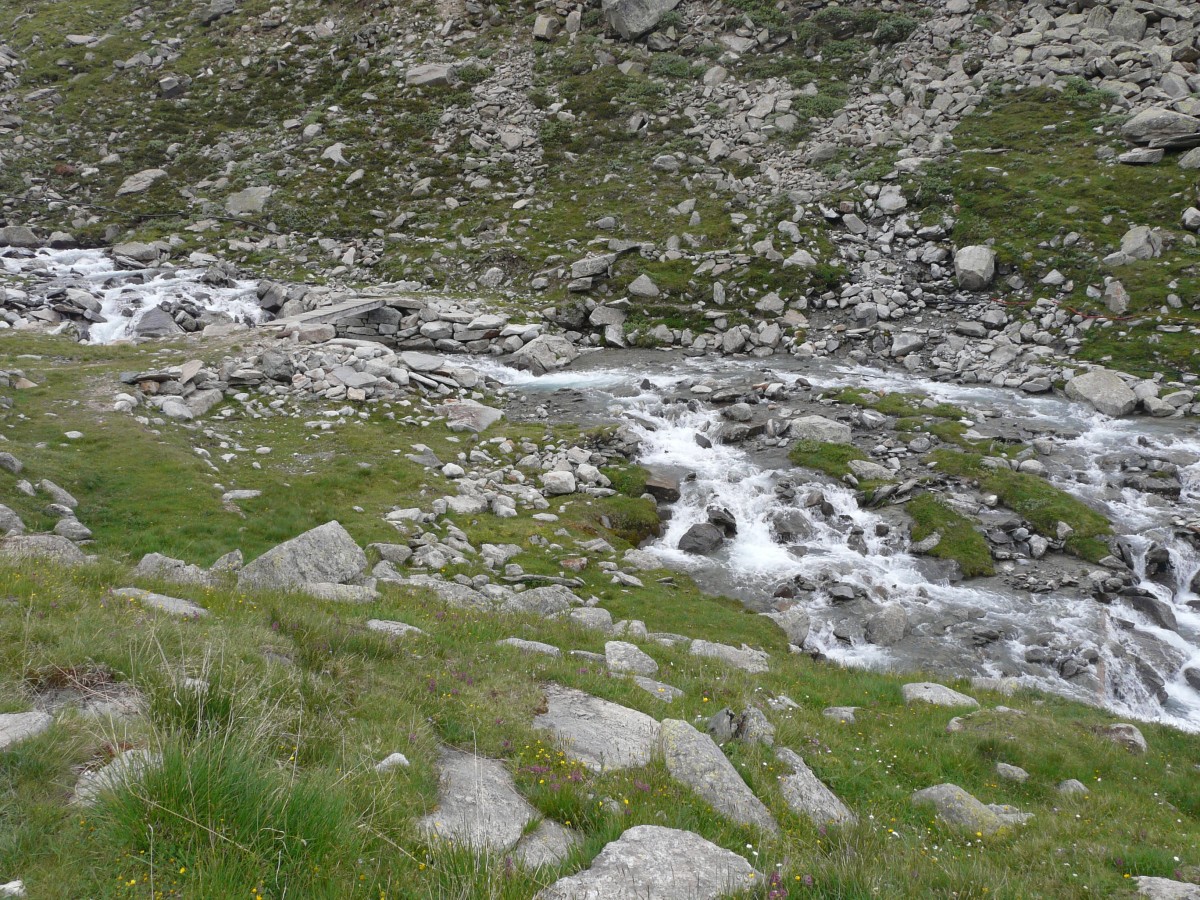 Paradis 2012-07-01_11-39-g.jpg