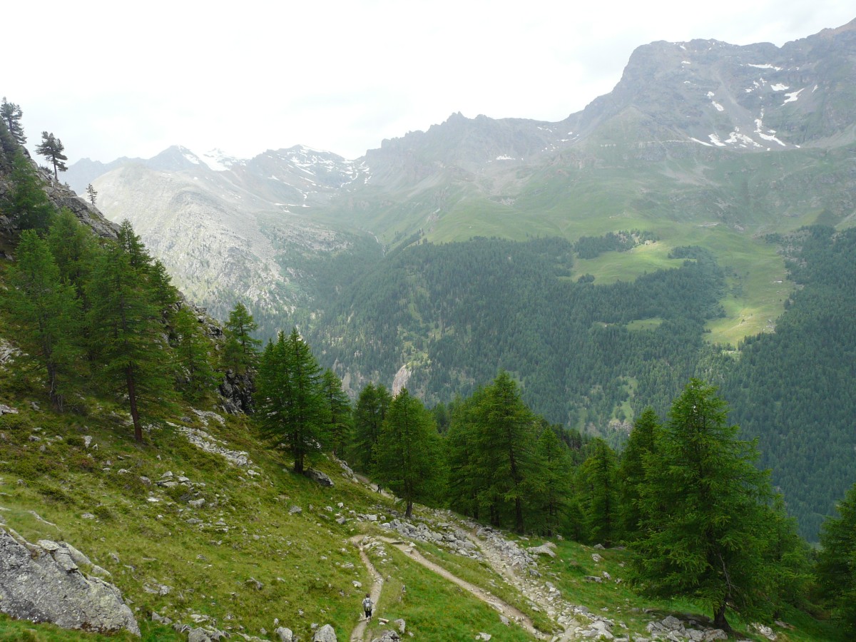 Paradis 2012-07-01_13-03-g.jpg