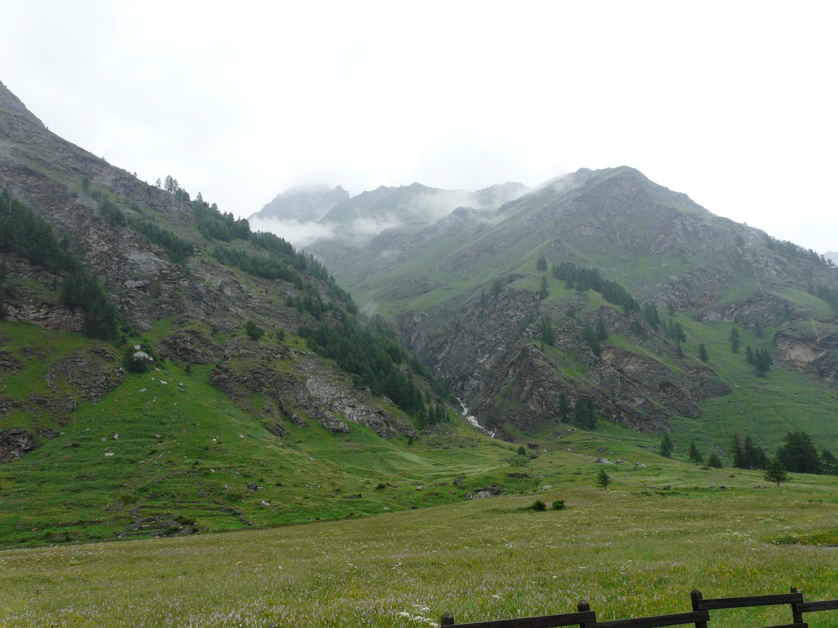Paradis 2012-07-02_15-05-g.jpg