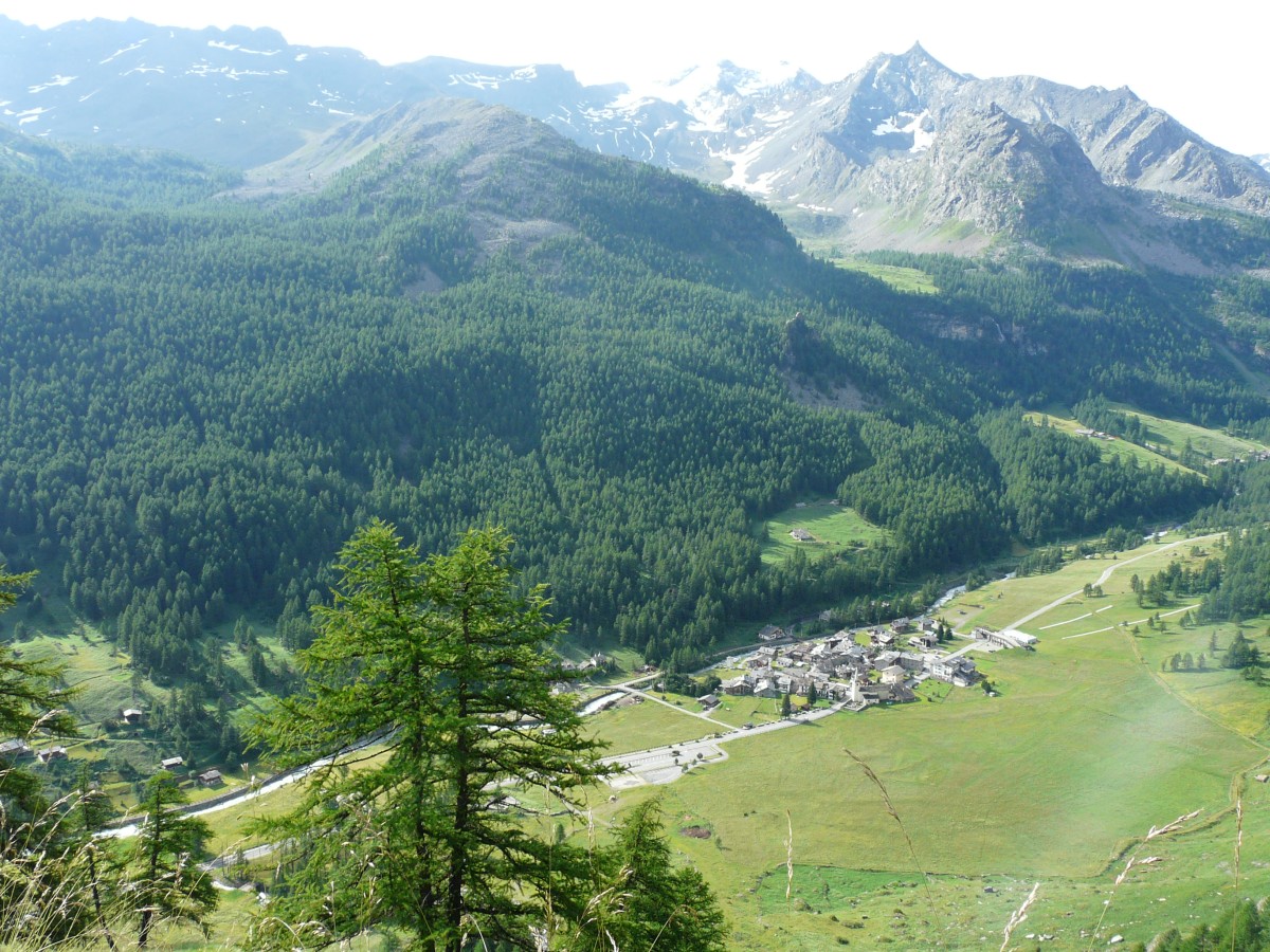 Paradis 2012-07-03_09-16-g_2.jpg