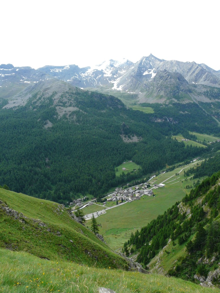 Paradis 2012-07-03_09-31-g.jpg