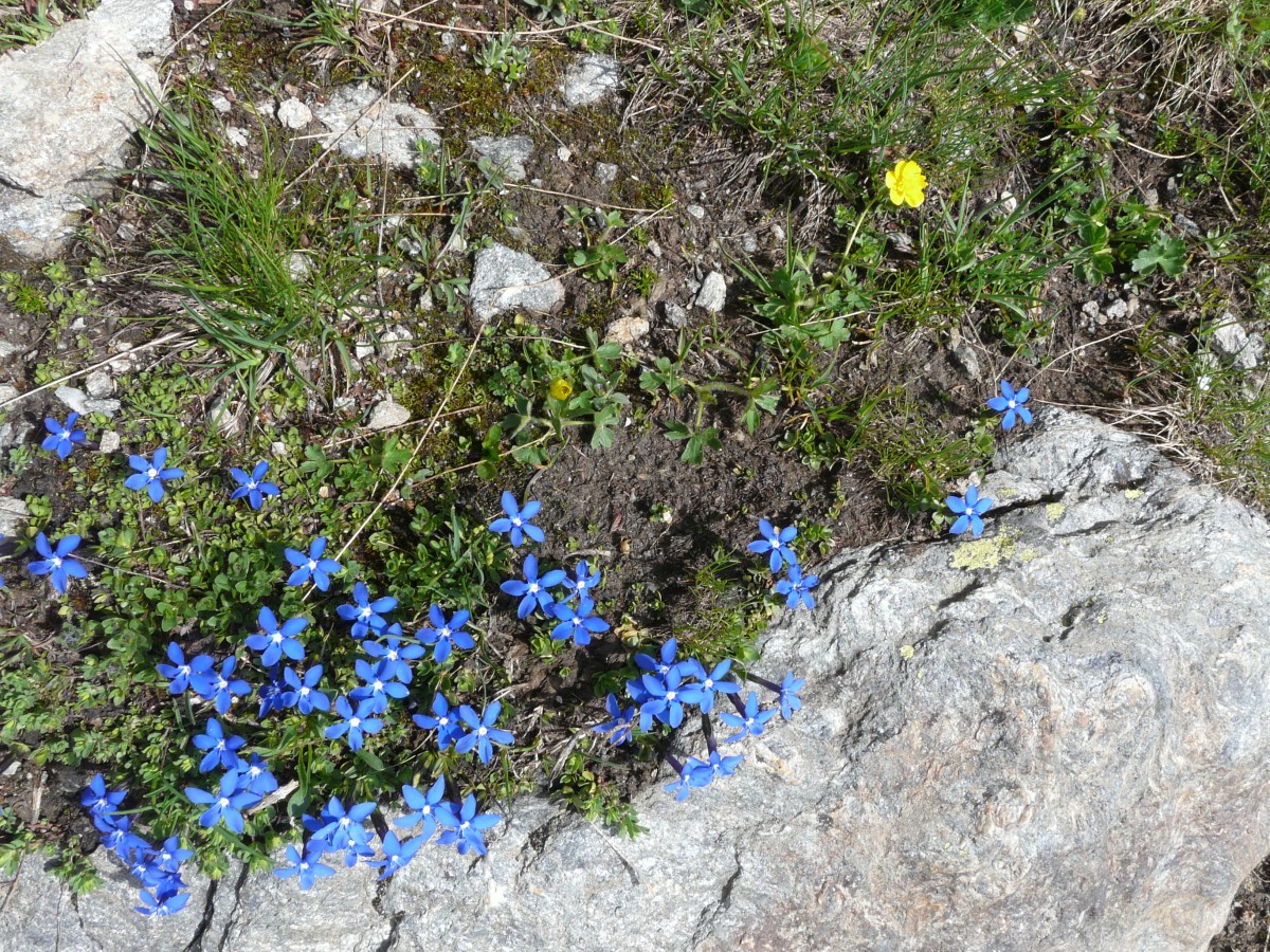 Paradis 2012-07-03_12-42-g.jpg