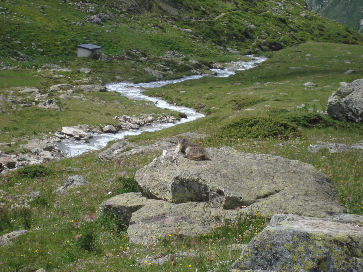 Paradis 2012-07-03_16-37-n_2.jpg