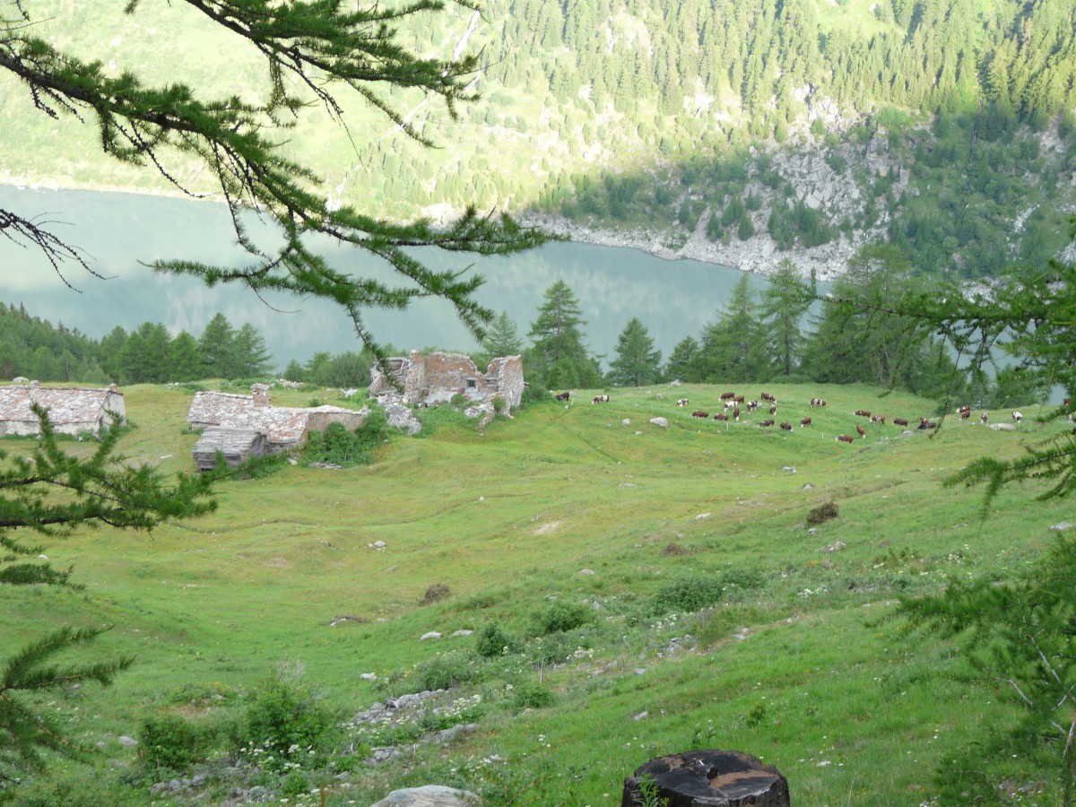 Paradis 2012-07-04_08-00-g.jpg