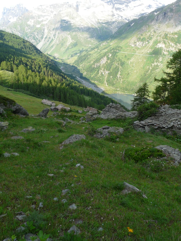 Paradis 2012-07-04_08-02-g.jpg