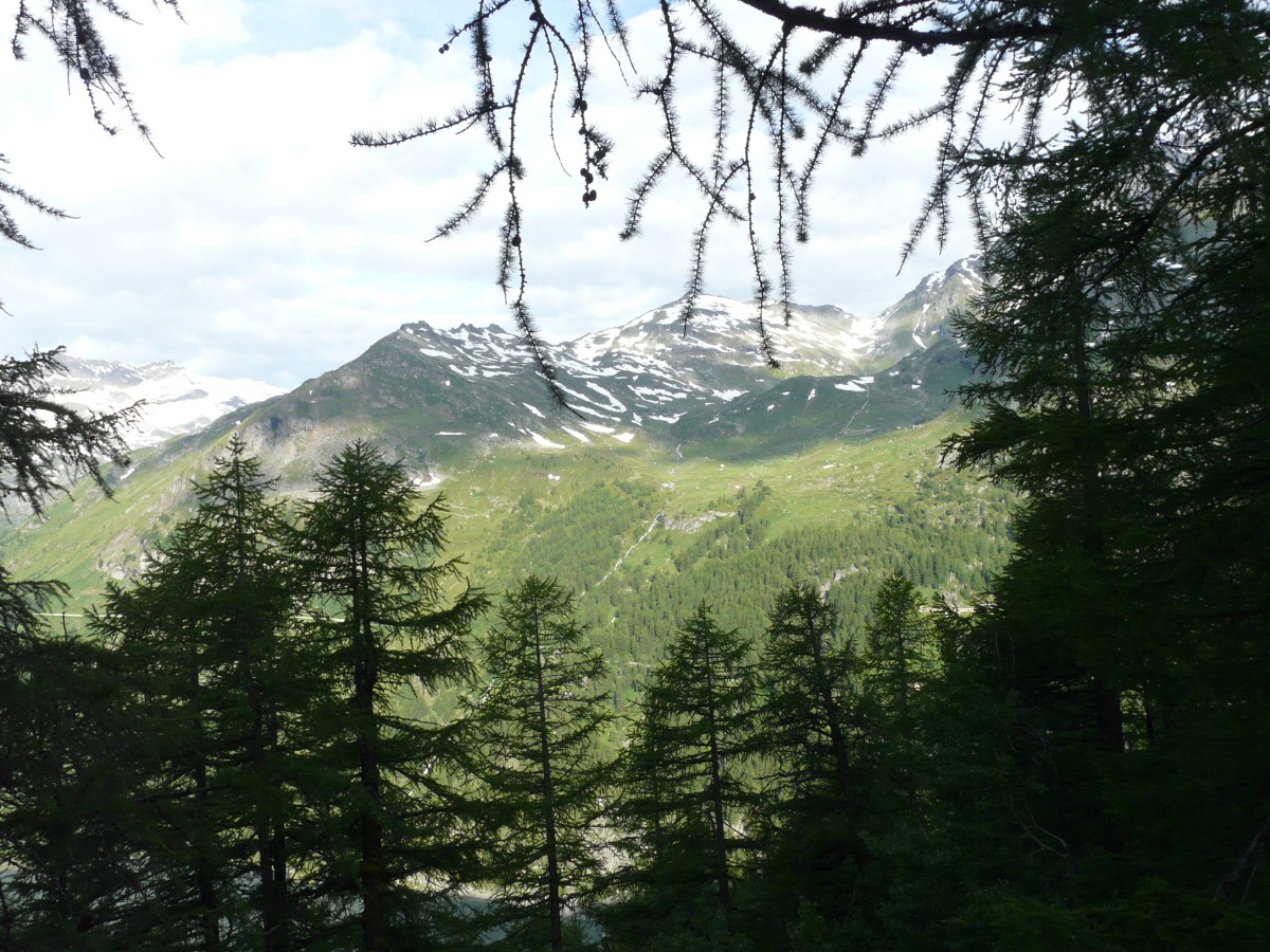 Paradis 2012-07-04_08-07-g_2.jpg