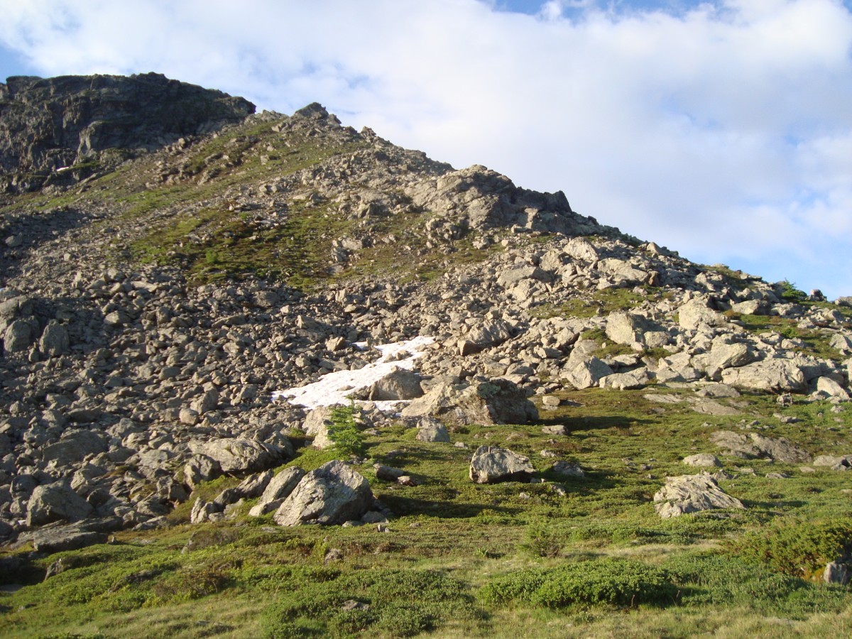 Paradis 2012-07-04_09-12-n.jpg