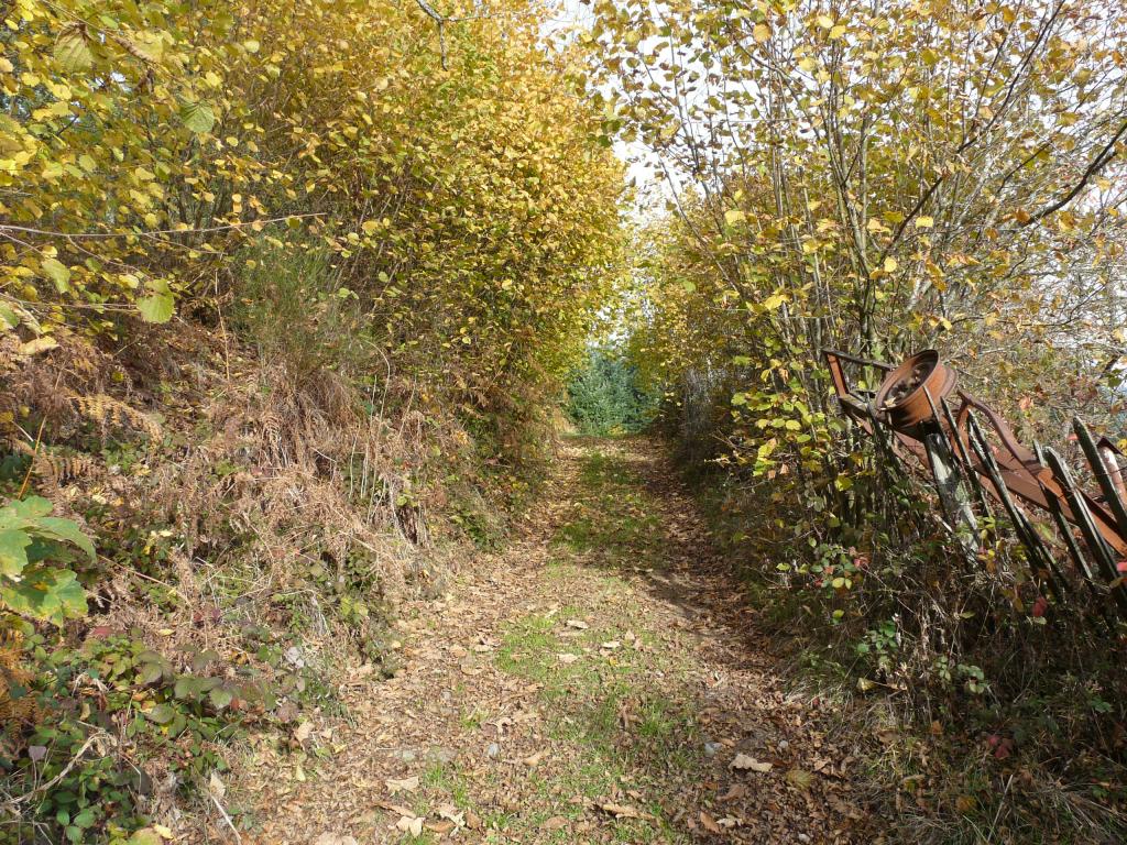 azergue-11-16-16.jpg