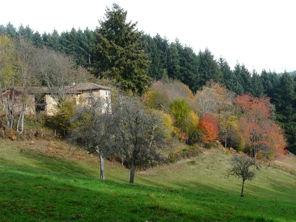 azergue-11-29-40.jpg