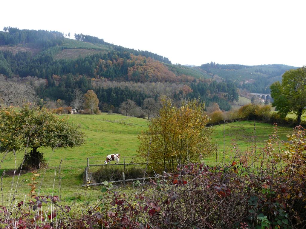 azergue-12-11-01.jpg