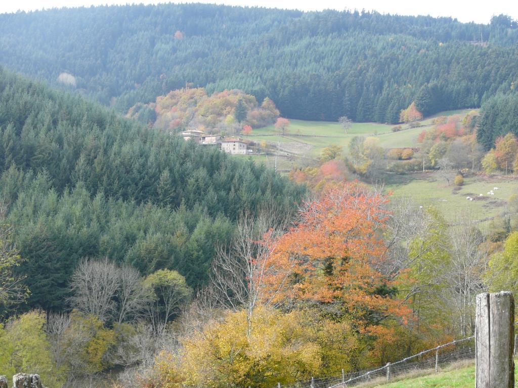 azergue-12-34-09.jpg