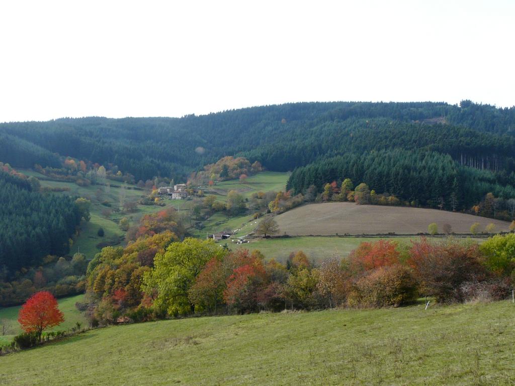 azergue-12-39-39.jpg
