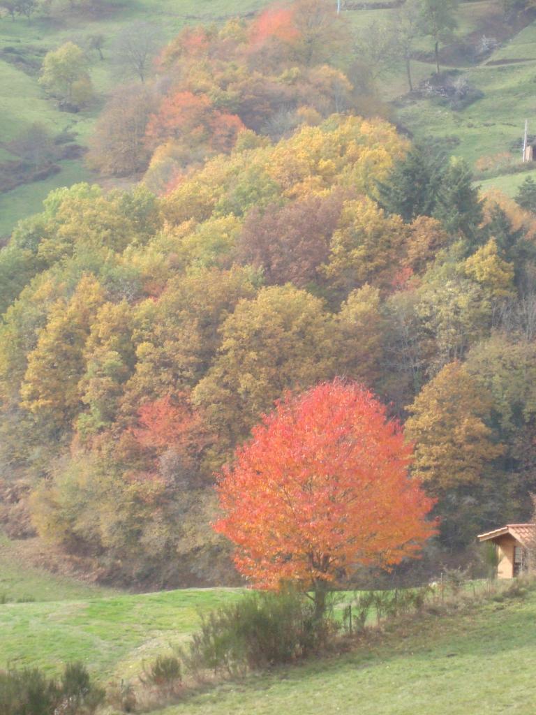 azergue-12-52-22.jpg