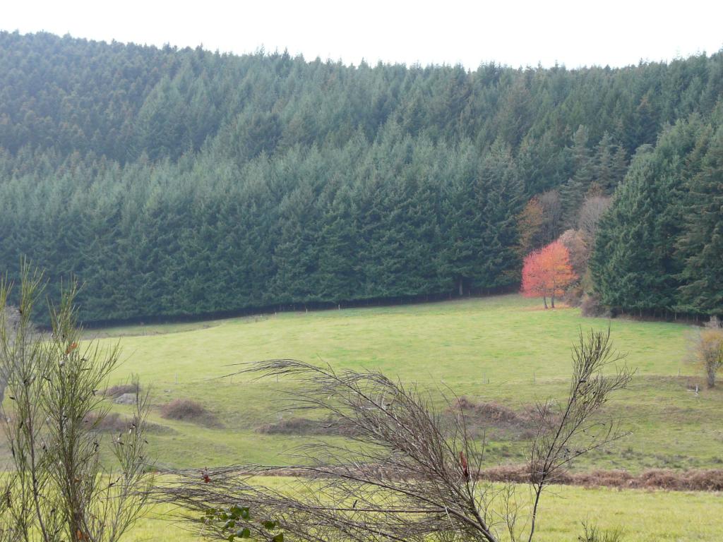 azergue-15-11-20.jpg