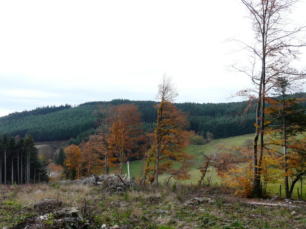 azergue-15-16-52.jpg