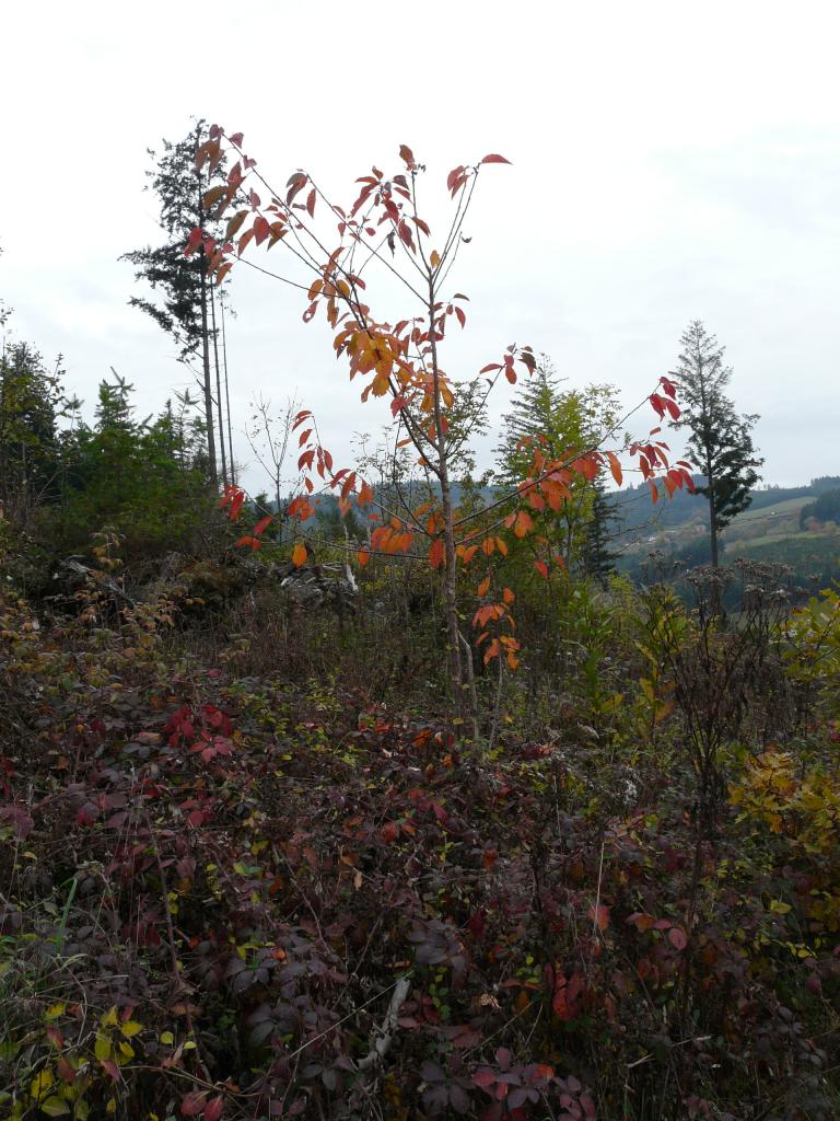 azergue-16-42-37.jpg