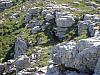 bargy-03_10-32n.jpg