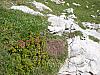 bargy-03_10-33n.jpg