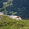 bargy-03_10-53n.jpg