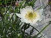 bargy-03_10-55n.jpg