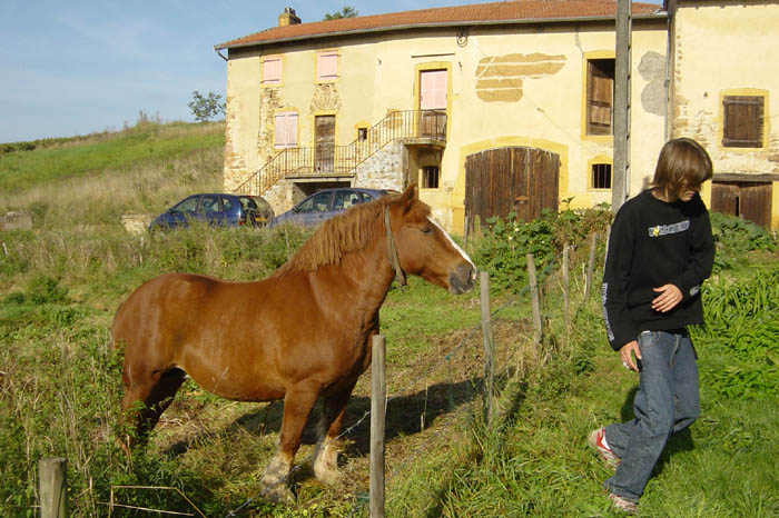 DSC03964