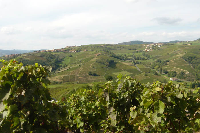 DSC04002