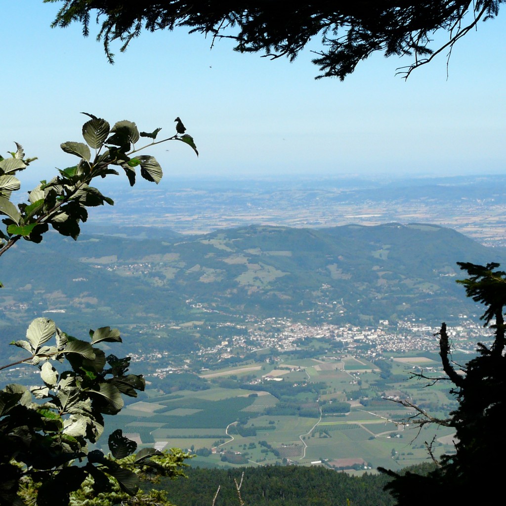 Becdorient-11-30g.jpg
