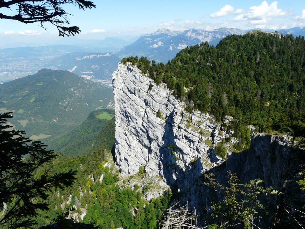 Becdorient-14-28g.jpg