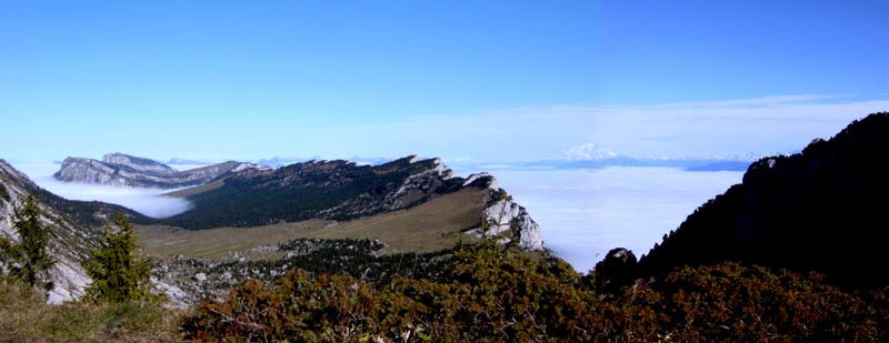 DSC06015