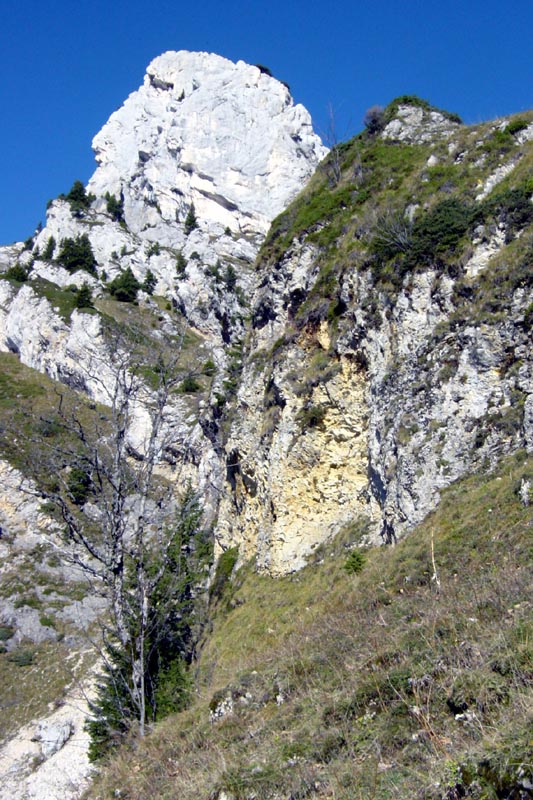 DSC06038