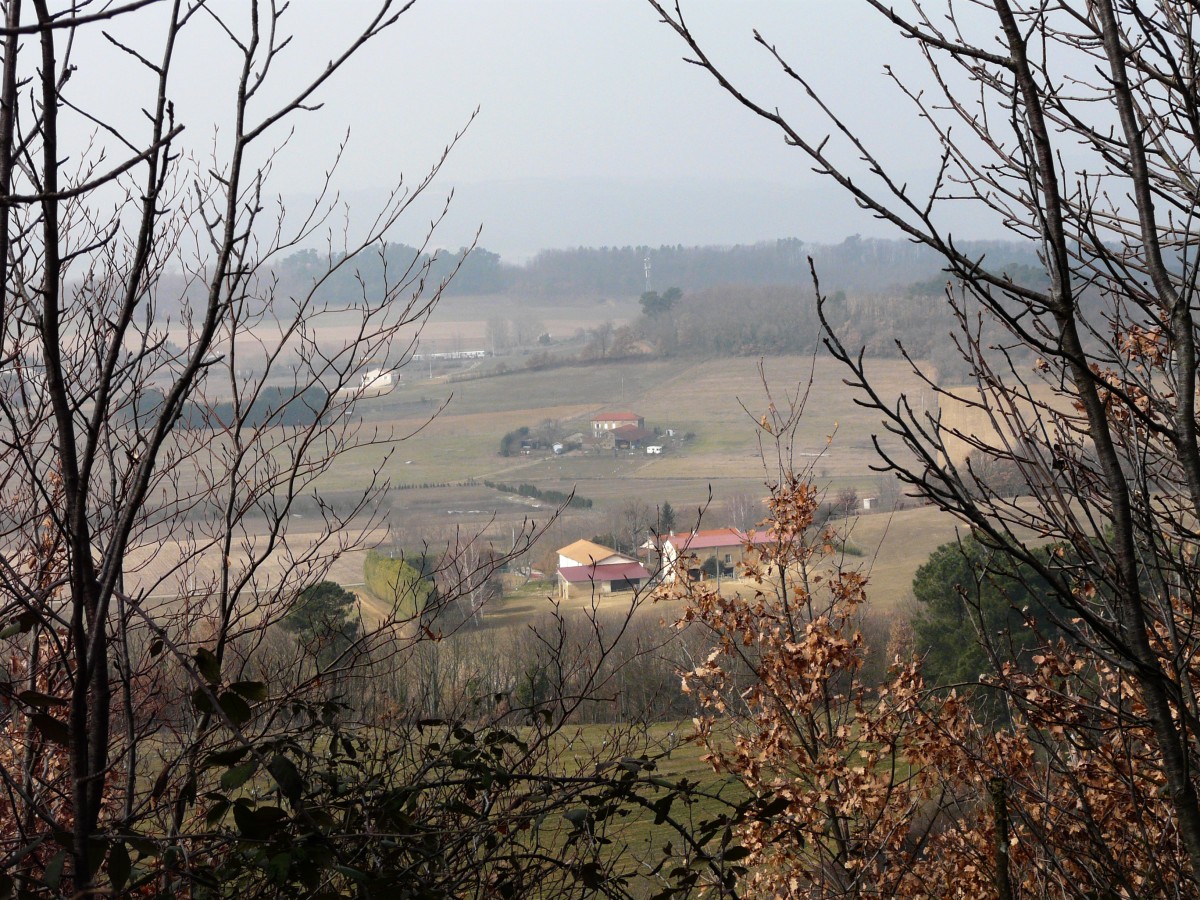 P1140880.jpg