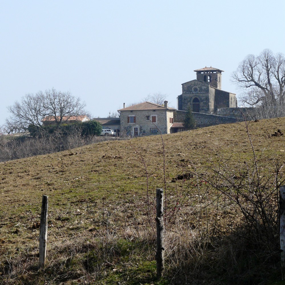 P1140889.jpg