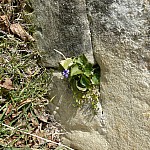 P1140893.jpg
