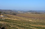 P1140900.jpg