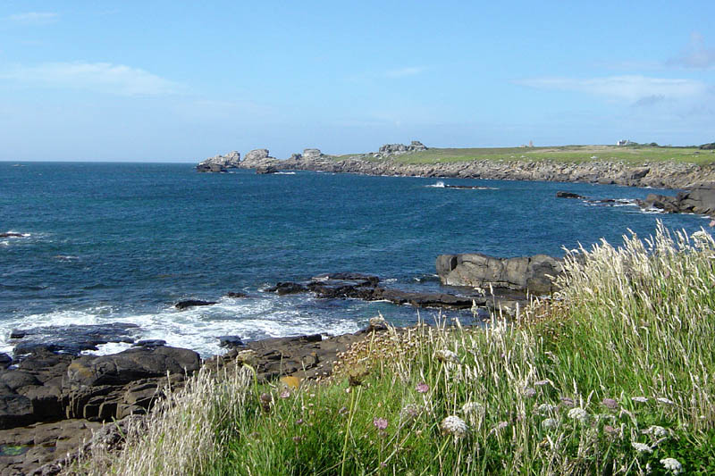 br07161814