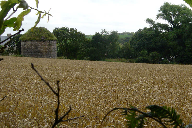br07171528