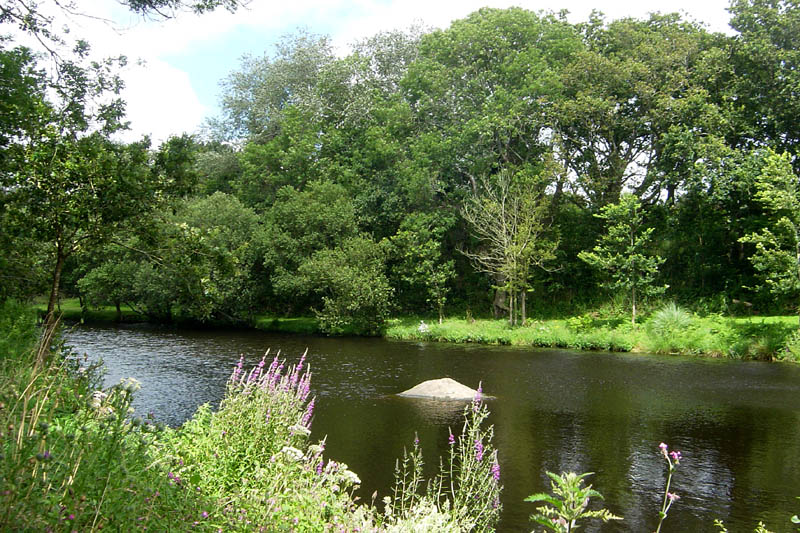 br07171536