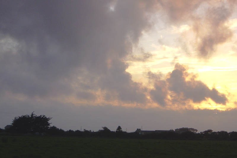 br07172202