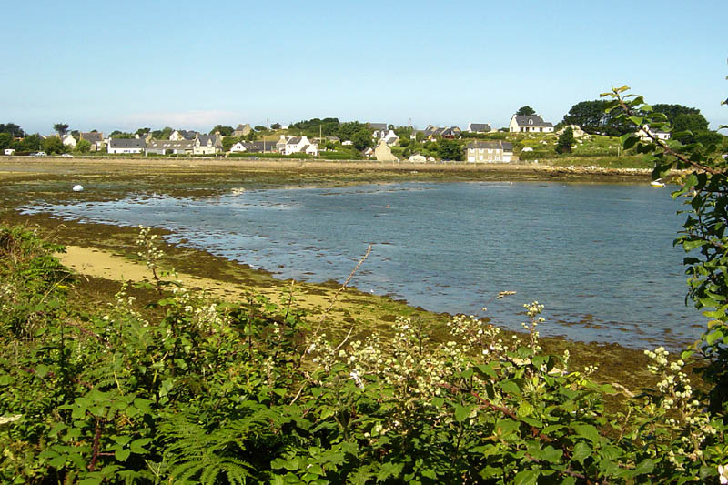 br07181150