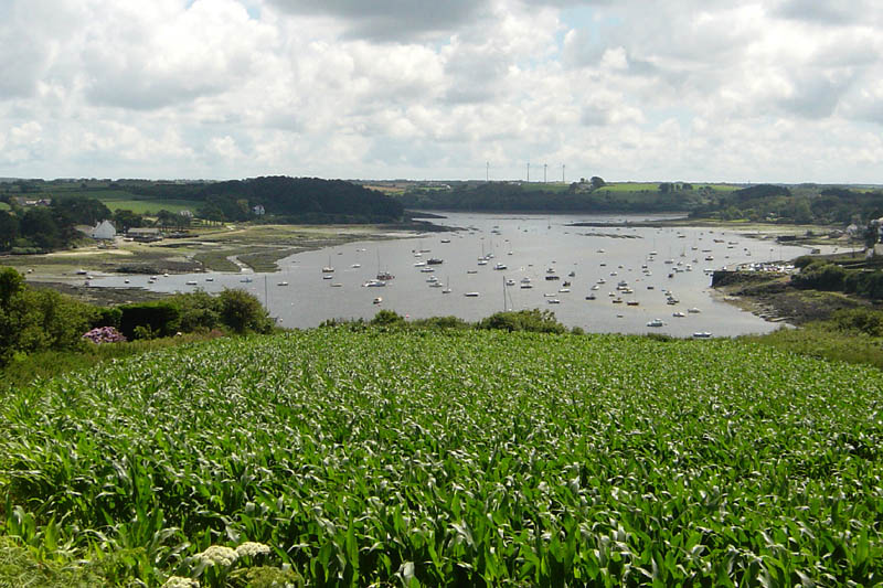 br07181447