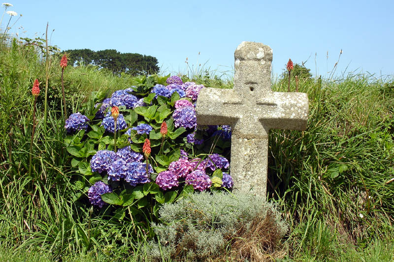 br07181452