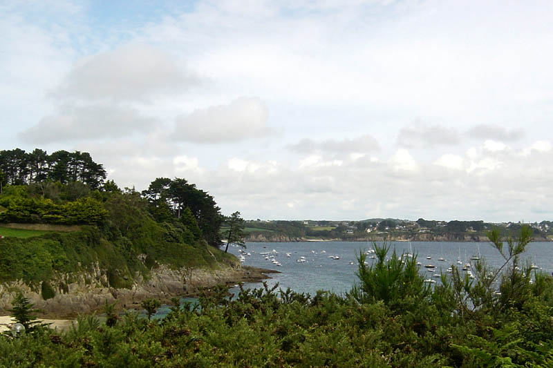br07221310