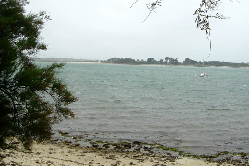 br07261623